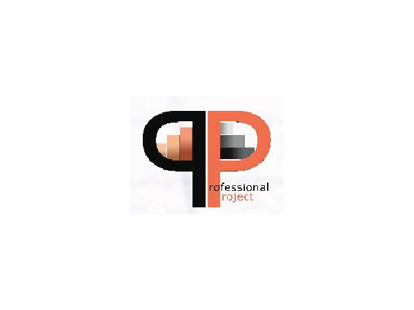 Professional Projekt